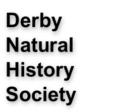 Derby  Natural History Society