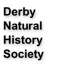 Derby  Natural History Society